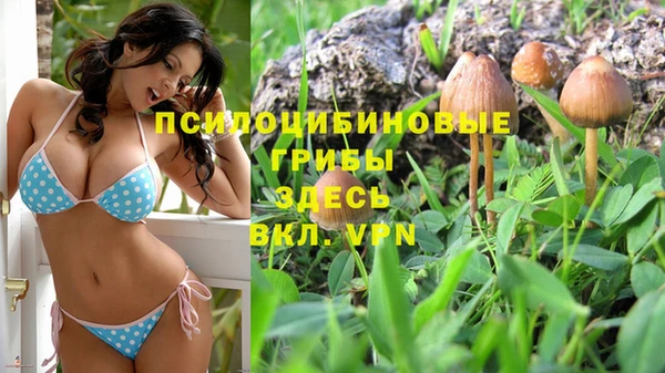 герыч Елизово