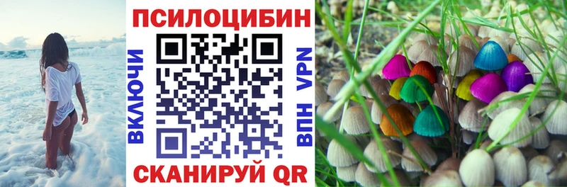 Галлюциногенные грибы прущие грибы  наркота  Малгобек 